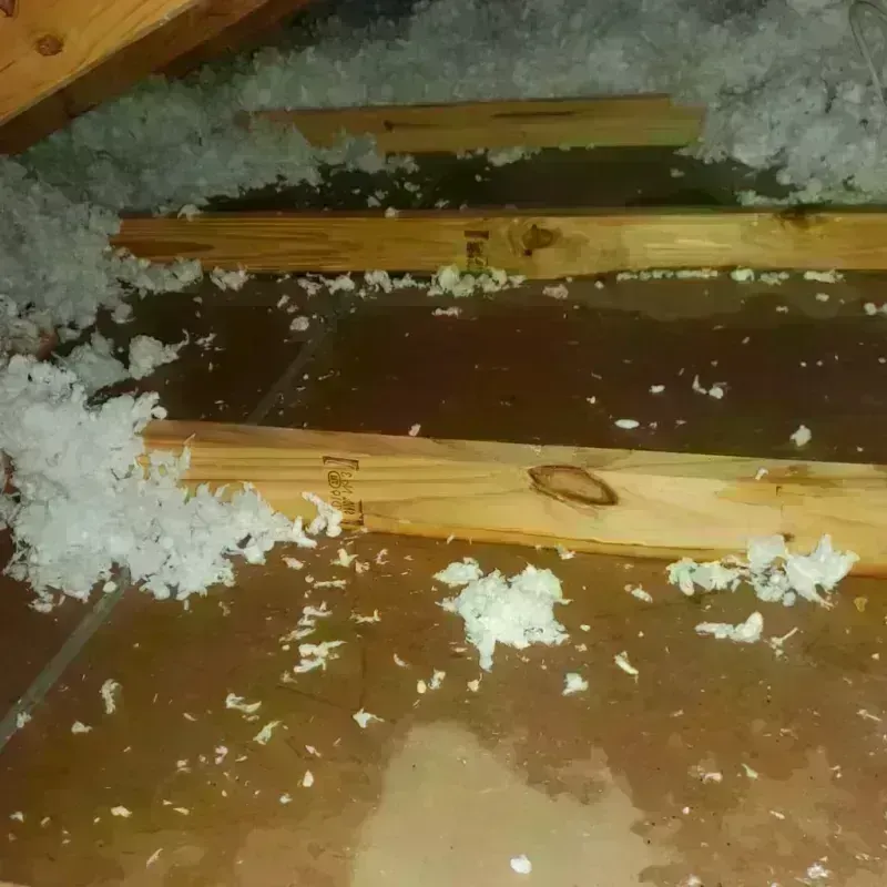 Attic Water Damage in Rochester, NY