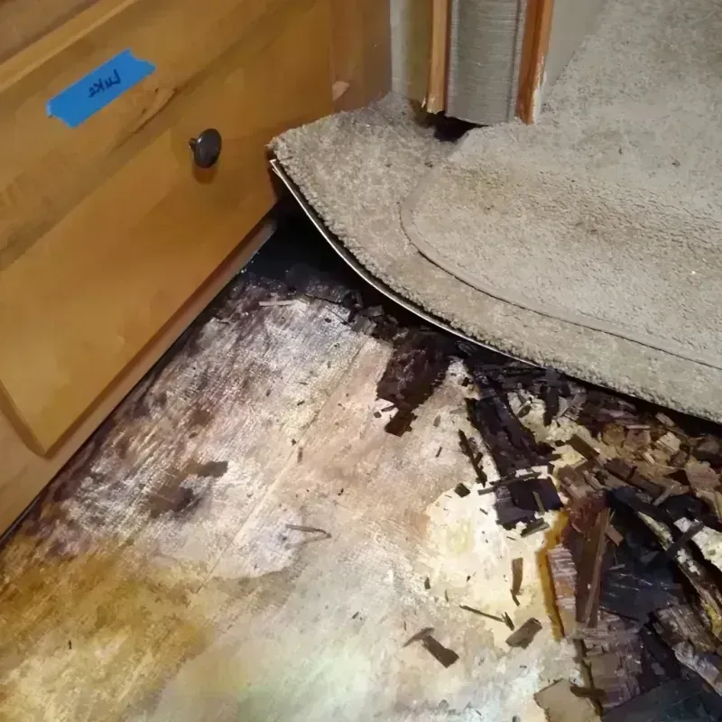 Wood Floor Water Damage in Rochester, NY